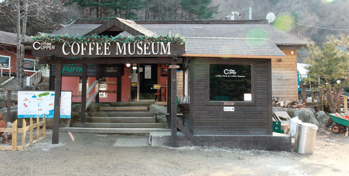 ▲ 강릉시 왕산면 왕산로에는 국내 최초의 상업용 커피 생산농장이 있다. 농장 안에 있는 커피박물관은 열대지방 작물인 커피 나무를 실제로 접하고, 커피가 되는 모든 과정과 커피의 역사를 살피는 체험형 박물관이기도 하다.