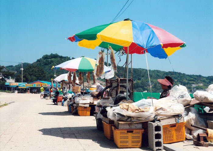 ▲ 감포 대왕암 바닷가에서 오징어를 팔고 있는 아낙네들.