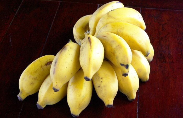 ▲ 한국에서 봐온 것보다 크기가 작지만 달콤한 맛이 일품인 베트남 바나나.