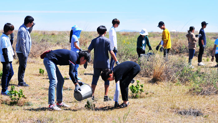 ▲ 30℃가 훨씬 넘는 뜨거운 날씨에도 산자연 중학교 학생들이 몽골의 사막화 방지 작업에 참여해 구슬땀을 흘리는 모습. <br /><br />/이주형교사 제공