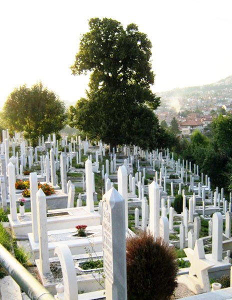 ▲ 사라예보 공동묘지에 세워진 새하얀 비석들.