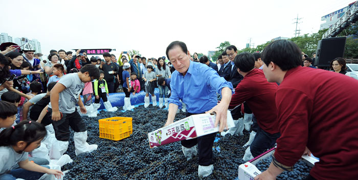 ▲ 지난해 영천 와인페스타 축제장에서 김영석(가운데) 시장이 직접 포도밟기 체험행사를 선보이고 있다.