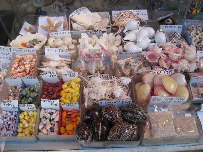 ▲ 바다가 지척인 오키나와엔 조개껍질로 만든 기념품을 판매하는 가게가 흔하다.