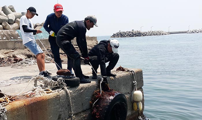 ▲ 포스코클린오션봉사단원들이 포항 해안가에서 정화활동을 하고 있다.
