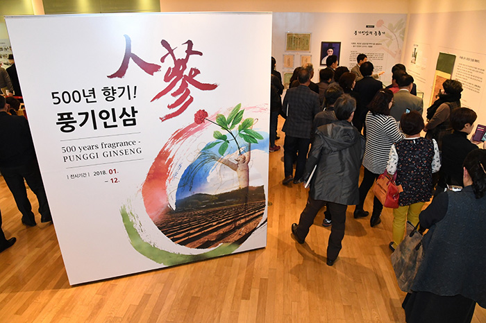 ▲ 성공적인 축제로 평가 받는 영주풍기인삼축제는 세계인삼엑스포 개최의 원동력이 되고 있다.