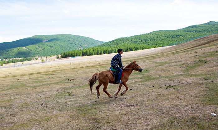 ▲ 몽골 여행에선 말에 올라 초원을 달리는 즐거움을 누릴 수 있다.