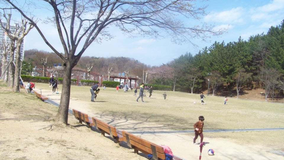 아이들이 체육공원 잔디광장에서 공놀이를 하고 있다.