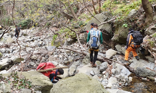 산악구조대원들이 성인봉 등산로 바라등대 부근에서 밧줄을 타고 계곡으로 내려가 수색하고 있다.