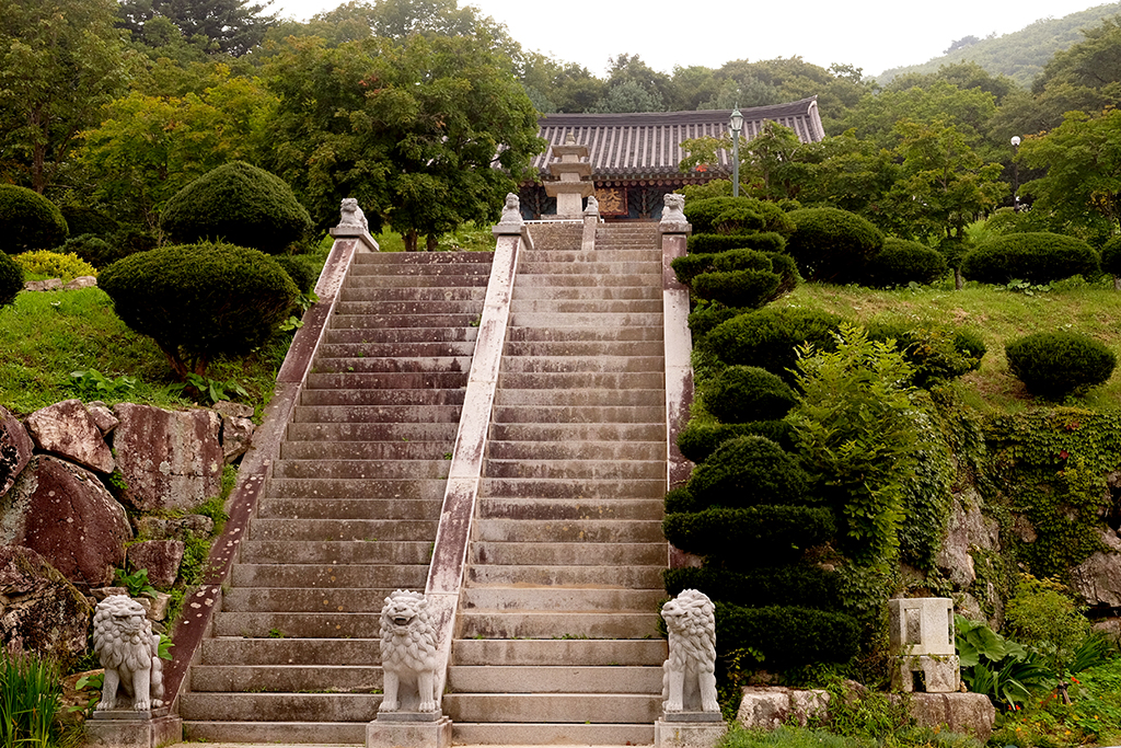 김천 수도암 대적광전 오르는 계단. 수도암은 김천시 증산면 수도길 1438에 있다.