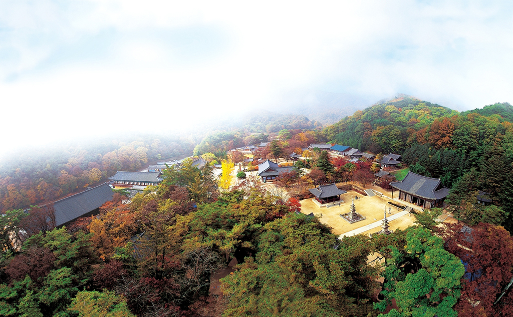 김천 직지사의 가을 풍경.