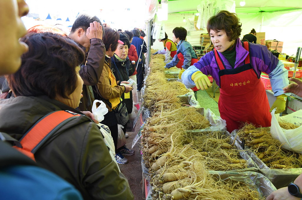 영주풍기인삼축제장에서 인삼을 구매하려는 관광객들이 북새통을 이루고 있다.