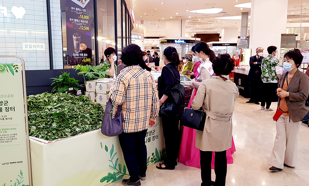 지난 8일부터 14일까지 롯데백화점 부산 광복점에서 열리고 있는 영양산나물 판촉 행사.