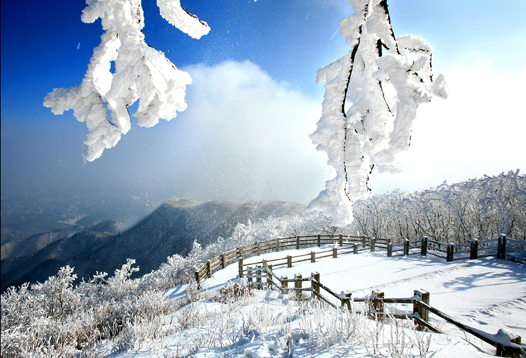 눈 내린 풍경 속엔 차가운 아름다움과 뜨거운 열망이 동시에 담겼다. 그런 차원에서 김선향의 시는 설경과 닮았다/경북매일DB.
