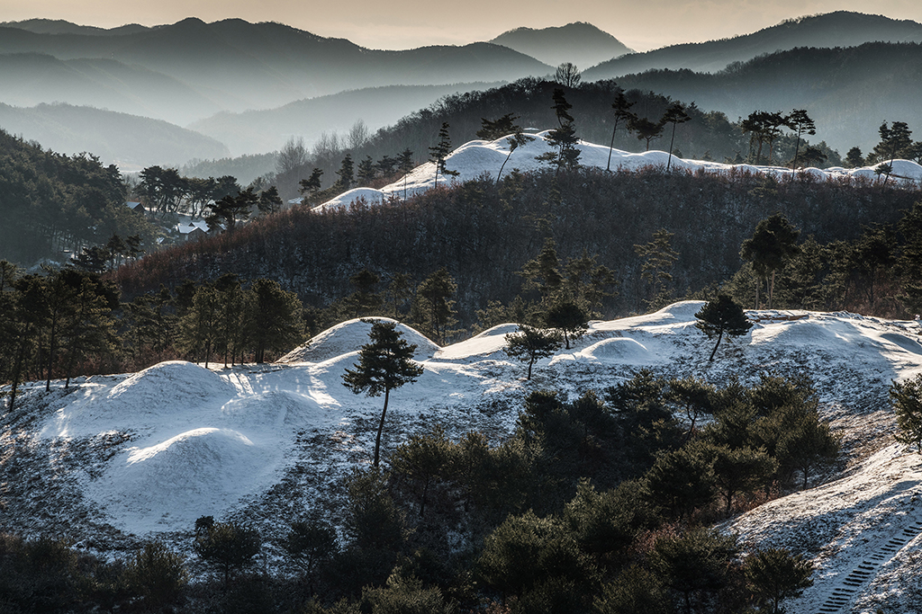 고령군 지산동 고분군의 겨울 풍경. 스산하지만 아름답다.
