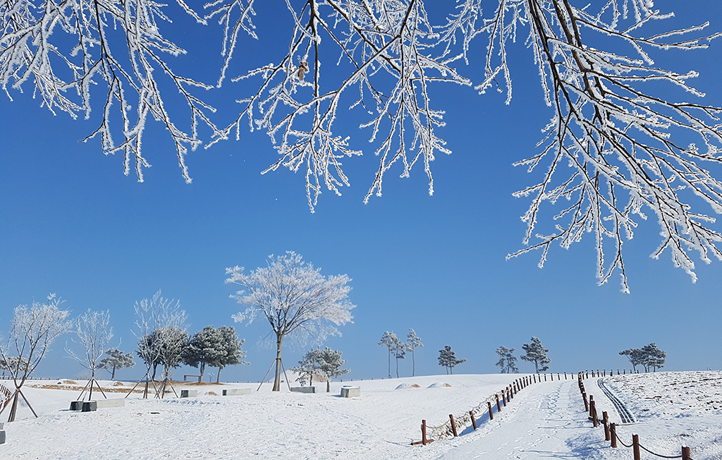 의성군 금성면 고분군 일대의 겨울 풍경.