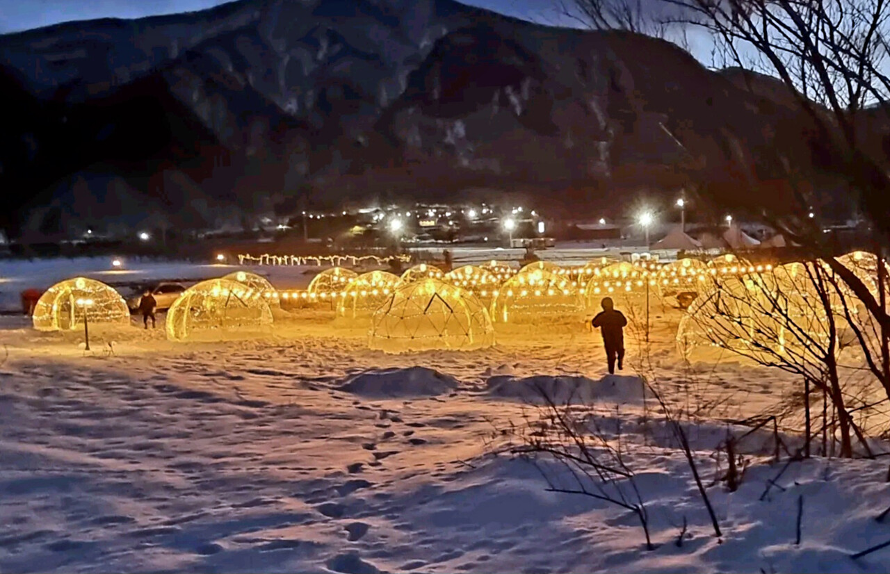 눈축제기간 진헹되는 눈위 비닐 텐트