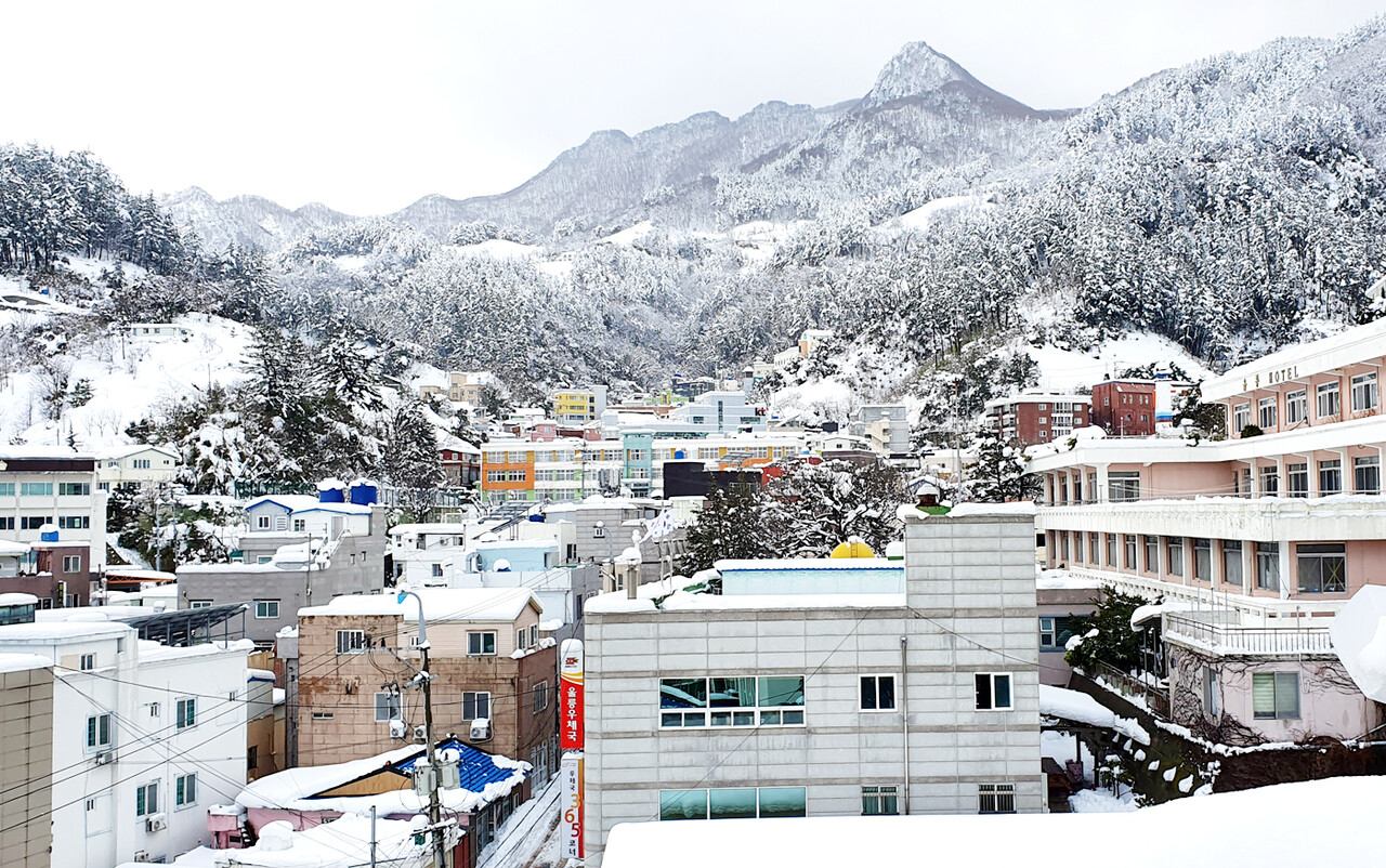 23일 오전 눈이 쌓인 울릉읍 도동리 설경.